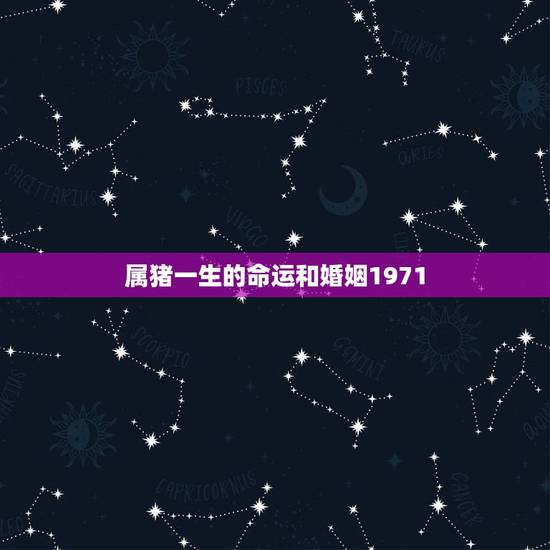 属猪一生的命运和婚姻1971,71属猪的一生婚姻如何 属猪一生的命运和婚姻1971,71属猪的一生婚姻如何