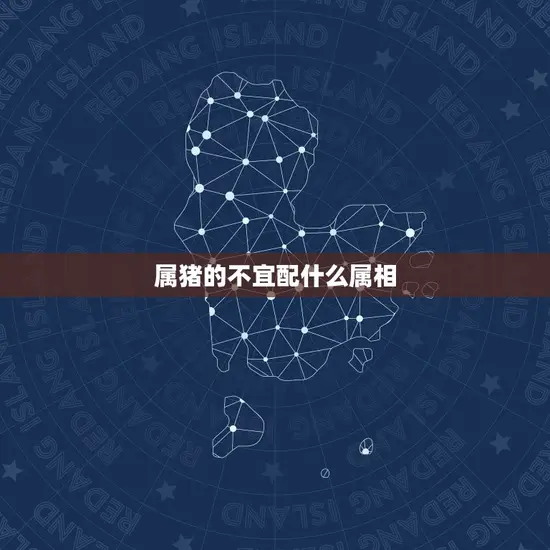 属猪的不宜配什么属相 属猪的不宜配什么属相