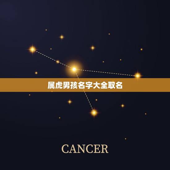 属虎男孩名字大全取名,属虎男宝宝起名字大全 属虎男孩名字大全取名,属虎男宝宝起名字大全