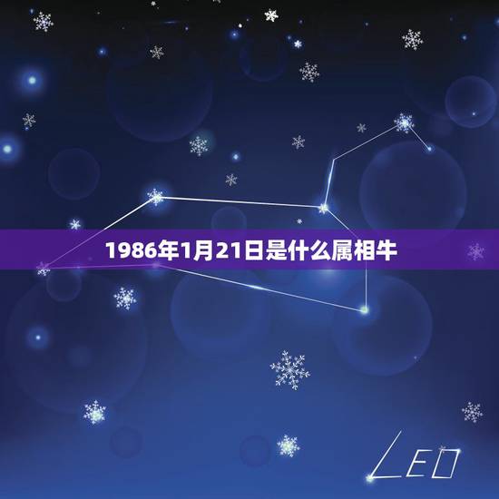 1986年1月21日是什么属相牛，阳历1986年1月20号生的属牛还是