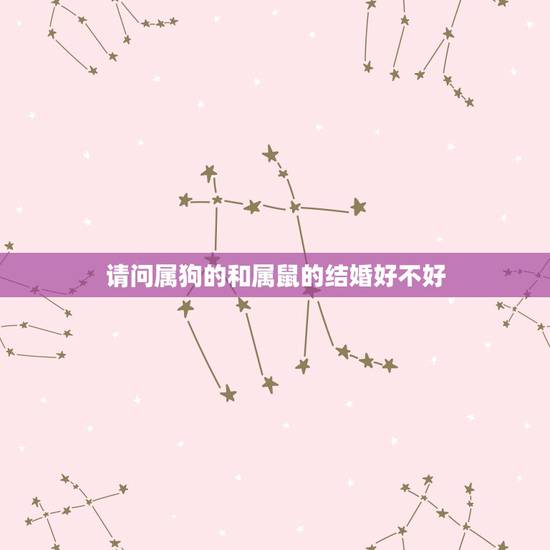 请问属狗的和属鼠的结婚好不好，属狗和属鼠的结婚好吗