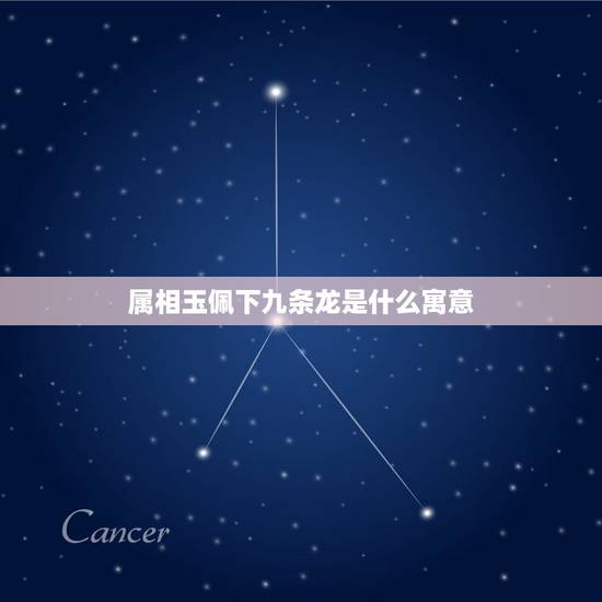 属相玉佩下九条龙是什么寓意,属相龙带什么生肖的玉佩最有利 属相玉佩下九条龙是什么寓意,属相龙带什么生肖的玉佩最有利