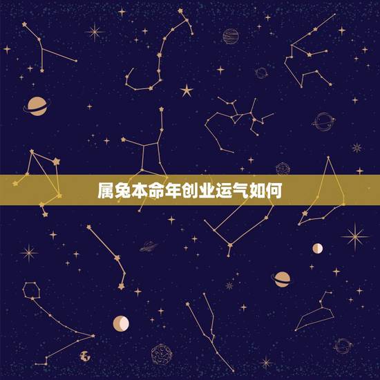 属兔本命年创业运气如何,属兔本命年如何提高运气 属兔本命年创业运气如何,属兔本命年如何提高运气