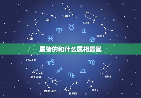 属猪的和什么属相最配,属猪的和什么属相最配 属猪的和什么属相最配,属猪的和什么属相最配