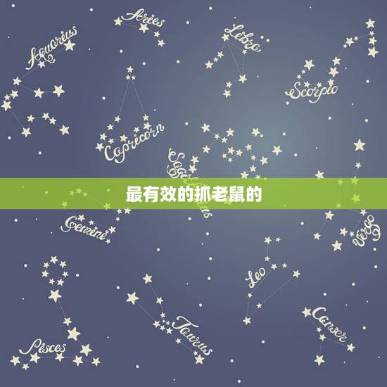 最有效的抓老鼠的  ，抓老鼠最有效的工具