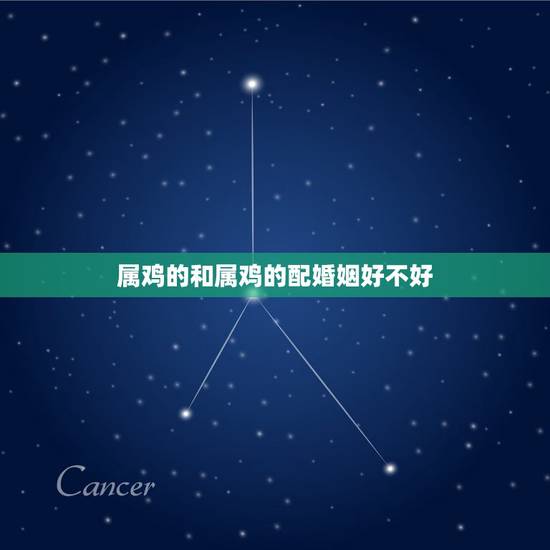 属鸡的和属鸡的配婚姻好不好，属鸡的和属鸡的婚配好不好