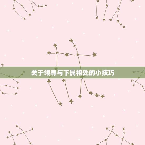 关于领导与下属相处的小技巧,老板和下属相处的方法 关于领导与下属相处的小技巧,老板和下属相处的方法