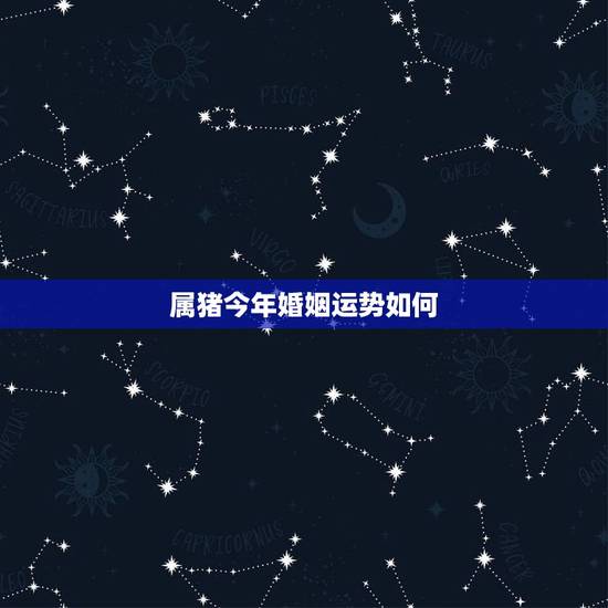 属猪今年婚姻运势如何,属猪人的婚姻与命运 属猪今年婚姻运势如何,属猪人的婚姻与命运