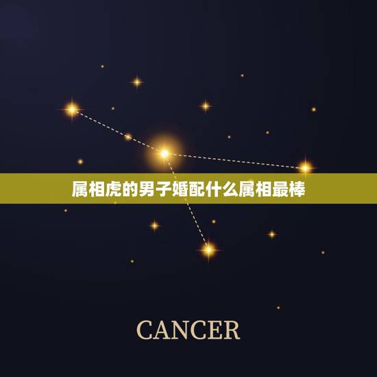属相虎的男子婚配什么属相最棒,属虎的和什么属相最配 属相婚配 属相虎的男子婚配什么属相最棒,属虎的和什么属相最配 属相婚配