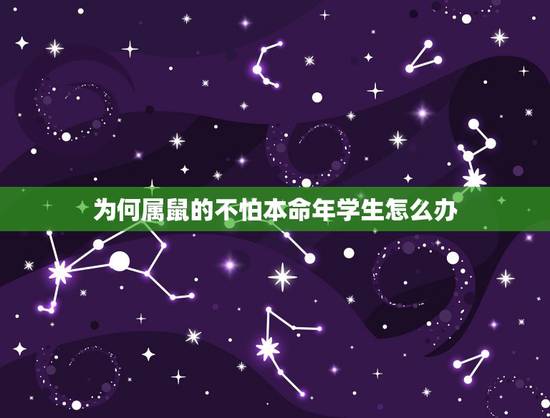 为何属鼠的不怕本命年学生怎么办，属鼠的本命年 应该怎么过