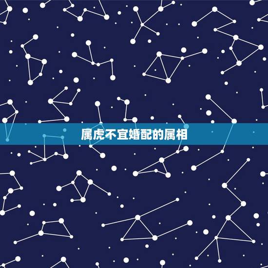 属虎不宜婚配的属相,属虎婚配哪个属相更好 属虎不宜婚配的属相,属虎婚配哪个属相更好