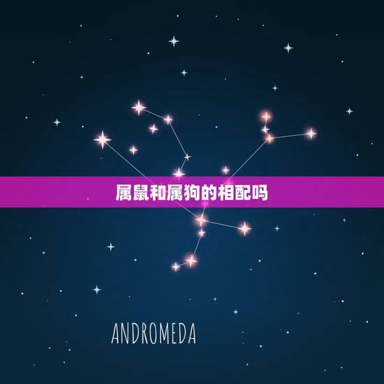 属鼠和属狗的相配吗 女鼠和男狗会不会旺夫 属鼠和属狗的相配吗 女鼠和男狗会不会旺夫