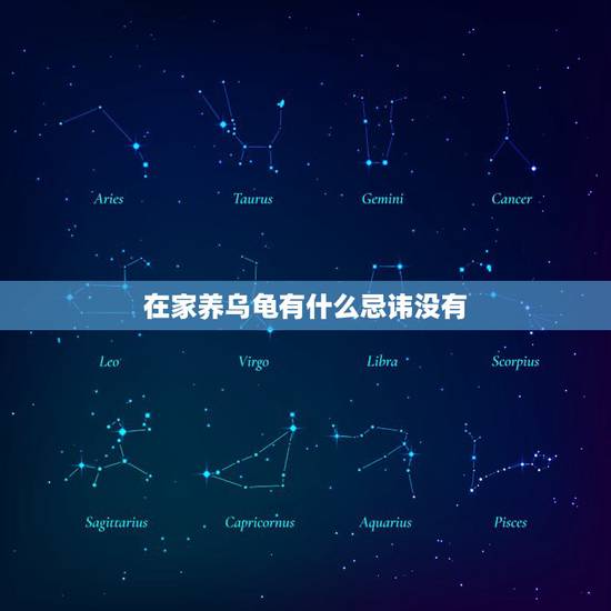 在家养乌龟有什么忌讳没有，家里养乌龟有什么讲究？