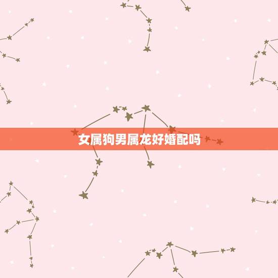 女属狗男属龙好婚配吗,女属狗和男属龙的婚姻状况 女属狗男属龙好婚配吗,女属狗和男属龙的婚姻状况