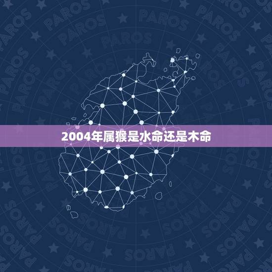 2004年属猴是水命还是木命,2004年属猴是什么木命人 2004年属猴是水命还是木命,2004年属猴是什么木命人