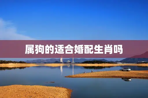 属狗的适合婚配生肖吗 属狗的适合婚配生肖吗