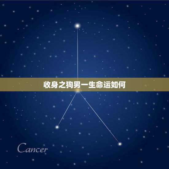 收身之狗男一生命运如何，1994年属狗是什么命1994年属狗运势怎么样