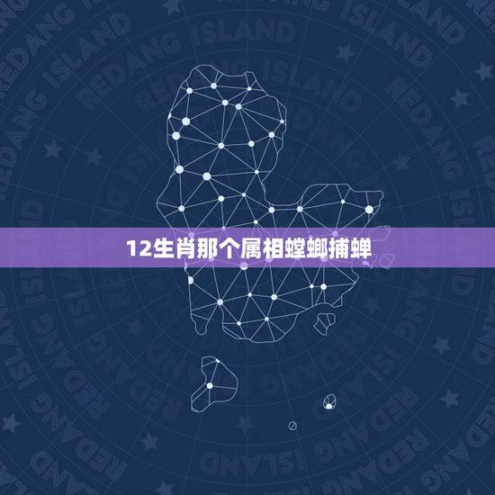 12生肖那个属相螳螂捕蝉,螳螂捕蝉打一生肖 12生肖那个属相螳螂捕蝉,螳螂捕蝉打一生肖