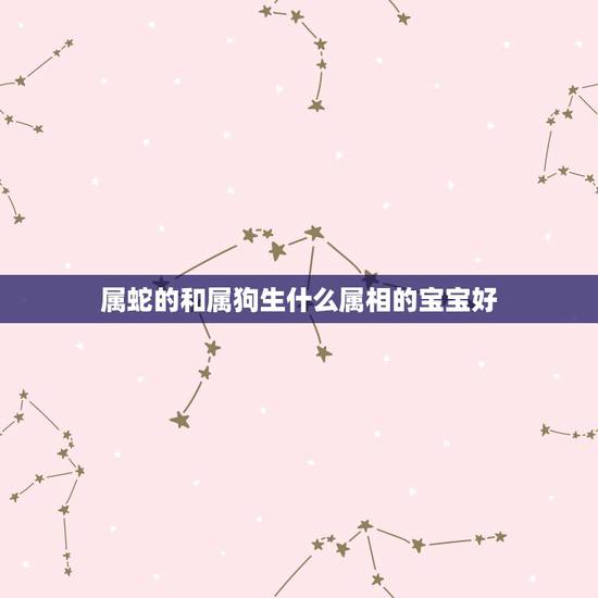 属蛇的和属狗生什么属相的宝宝好，属蛇的爸爸和属狗的妈妈生什么属相的宝宝