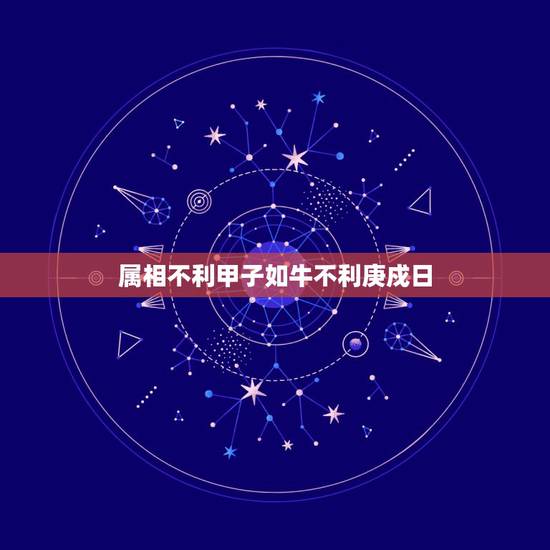 属相不利甲子如牛不利庚戍日，十二生肖的每日属相是什么意思，
