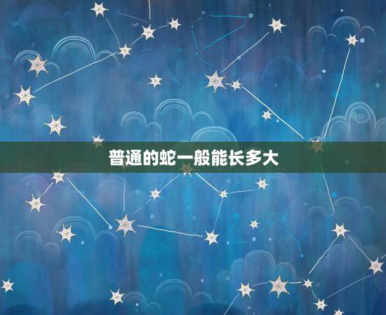 普通的蛇一般能长多大，博美能长多大
