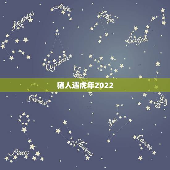 猪人遇虎年2022,83年属猪2022年运势 猪人遇虎年2022,83年属猪2022年运势