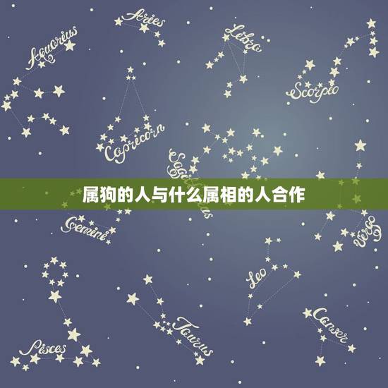 属狗的人与什么属相的人合作,1982年,的属狗的和什么属相配 属狗的人与什么属相的人合作,1982年,的属狗的和什么属相配