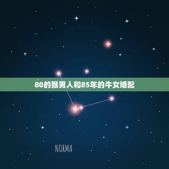 80的猴男人和85年的牛女婚配,85年女牛和80年男猴结合配吗? 80的猴男人和85年的牛女婚配,85年女牛和80年男猴结合配吗?
