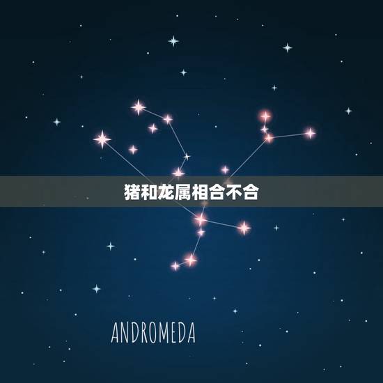 猪和龙属相合不合,生肖里猪和龙合得来吗? 猪和龙属相合不合,生肖里猪和龙合得来吗?