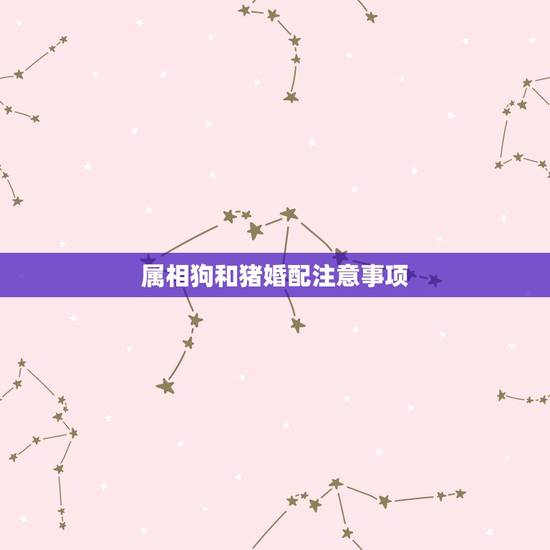 属相狗和猪婚配注意事项,属相狗和猪相配吗? 属相狗和猪婚配注意事项,属相狗和猪相配吗?