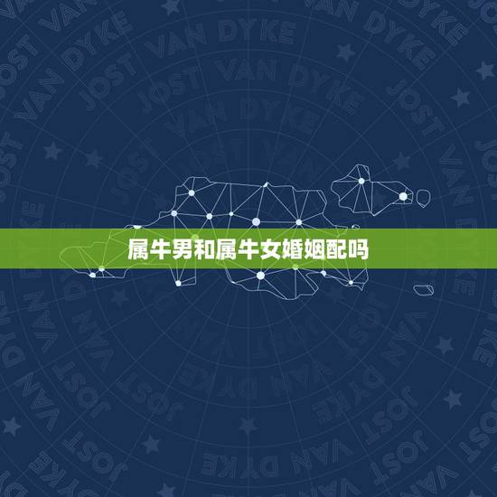 属牛男和属牛女婚姻配吗，属牛的和属牛的相配吗