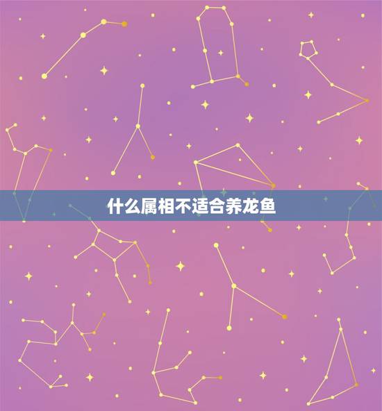 什么属相不适合养龙鱼，风水学上养龙鱼是养单不养双吗