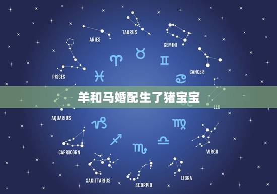 羊和马婚配生了猪宝宝，属马女和属羊男生属什么的娃娃好