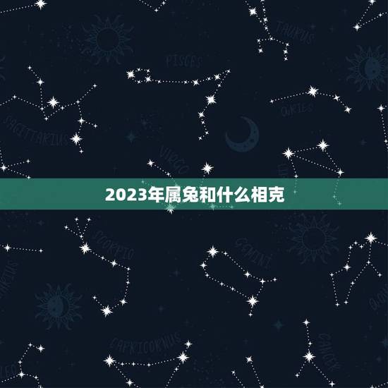 2023年属兔和什么相克,2023年是什么命 2023年属兔和什么相克,2023年是什么命