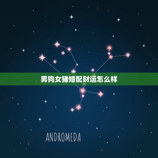 男狗女猪婚配财运怎么样,生肖配对男狗女猪在一起的财运如何 男狗女猪婚配财运怎么样,生肖配对男狗女猪在一起的财运如何