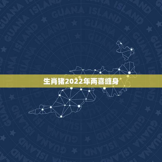 生肖猪2022年两喜缠身 71属猪2022年有一灾