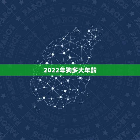 2022年狗多大年龄，82年属狗何时走大运