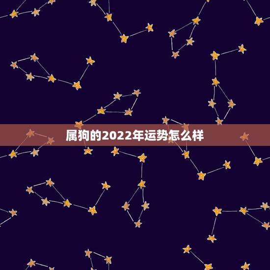 属狗的2022年运势怎么样，70年属狗51岁有血光之灾