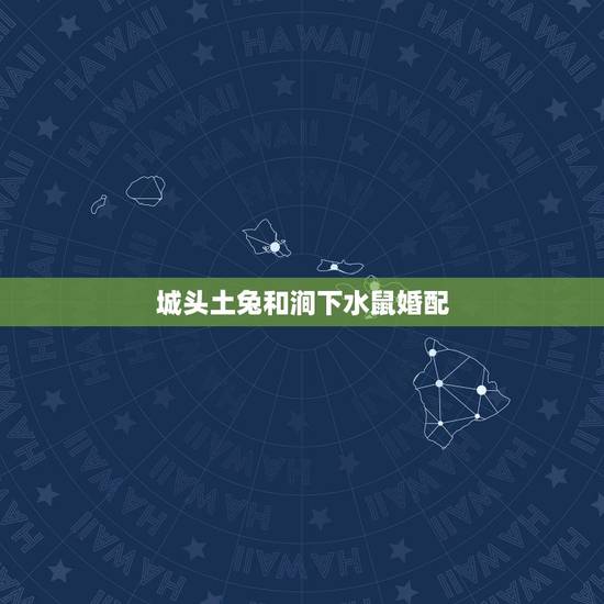城头土兔和涧下水鼠婚配，兔和鼠相配吗
