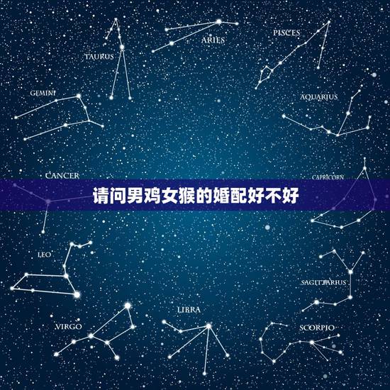 请问男鸡女猴的婚配好不好,女猴与男鸡的婚姻状况 请问男鸡女猴的婚配好不好,女猴与男鸡的婚姻状况