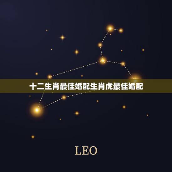 十二生肖最佳婚配生肖虎最佳婚配,96年属鼠最佳婚配 十二生肖最佳婚配生肖虎最佳婚配,96年属鼠最佳婚配