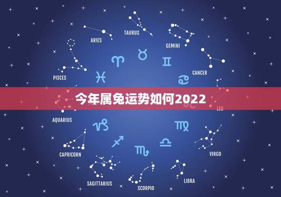 今年属兔运势如何2022，1990年属马2022 年运势及运程详解