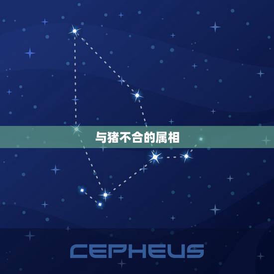 与猪不合的属相，属猪人的婚姻大忌