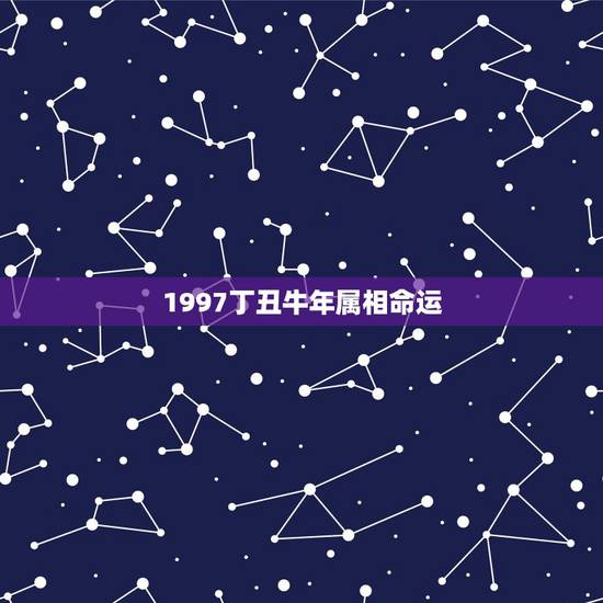 1997丁丑牛年属相命运,97年属什么命 1997丁丑牛年属相命运,97年属什么命