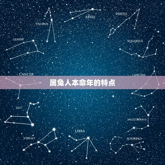 属兔人本命年的特点 属兔人本命年的特点