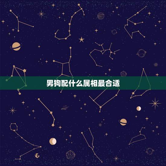 男狗配什么属相最合适，男狗配什么生肖最好