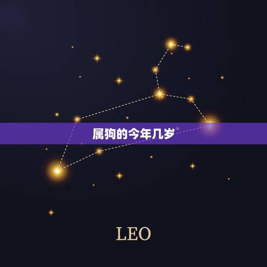 属狗的今年几岁,70年属狗50岁有一灾 属狗的今年几岁,70年属狗50岁有一灾