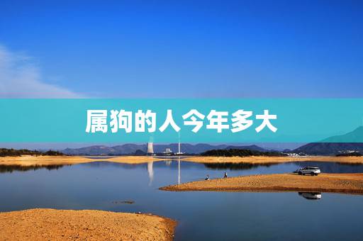 属狗的人今年多大,94年属狗28岁命运 属狗的人今年多大,94年属狗28岁命运