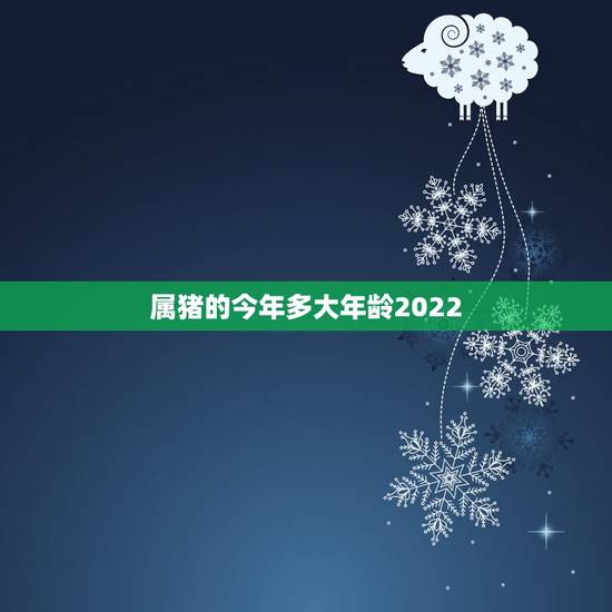 属猪的今年多大年龄2022，属狗的今年多大