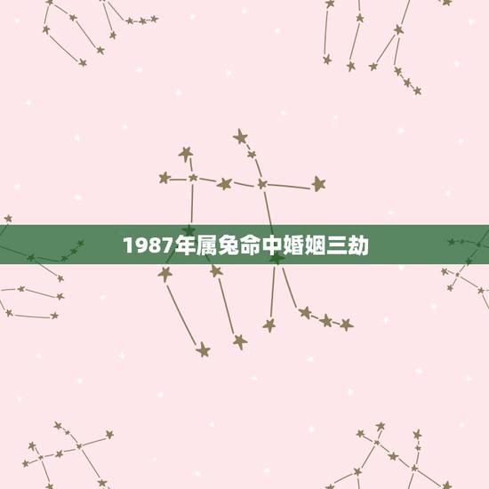 1987年属兔命中婚姻三劫,1987年属兔的婚姻和命运怎么样? 1987年属兔命中婚姻三劫,1987年属兔的婚姻和命运怎么样?